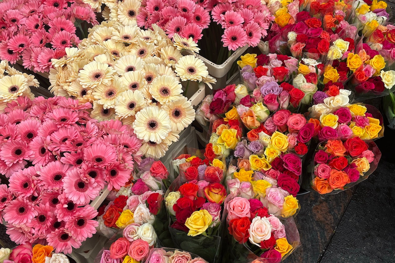 Hurtownia kwiatów – idealne rozwiązanie dla Twojego wnętrza